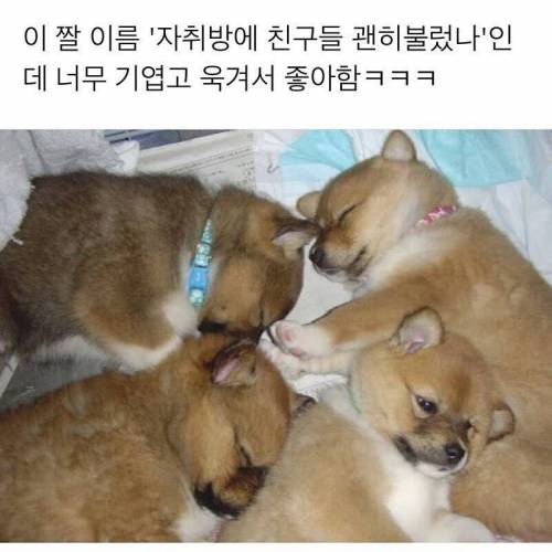 자취방에 친구들 괜히 불렀나