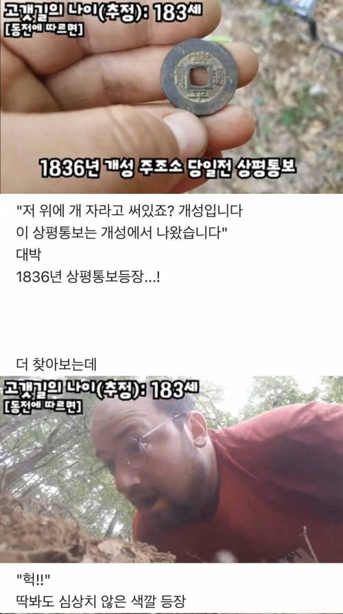 ???:땅을 파봐라 10원짜리 하나 나오나