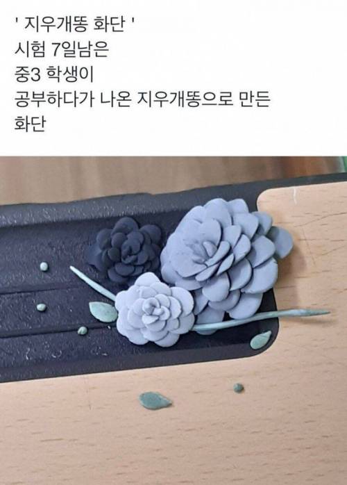 공부가 하기 싫었던 중학생.jpg