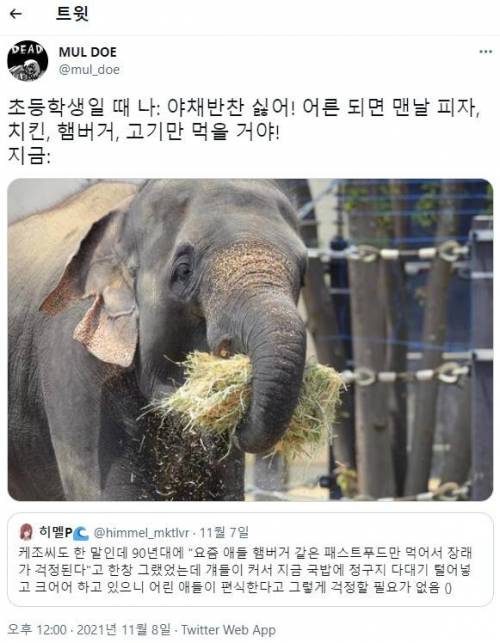 채소 싫어하는 한국 어린이들이 어른이 되면