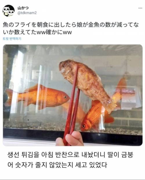 아침마다 딸이 기이한 행동을 해요.jpg