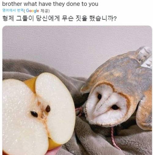 형제여 그들이 당신에게 무슨 짓을 했습니까?