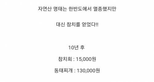 온난화로 인해 한반도에서 가능해진 양식.jpg