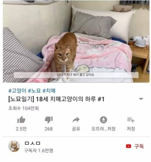 너는 나보다 빠르게 늙어서 다시 아기가 되었구나