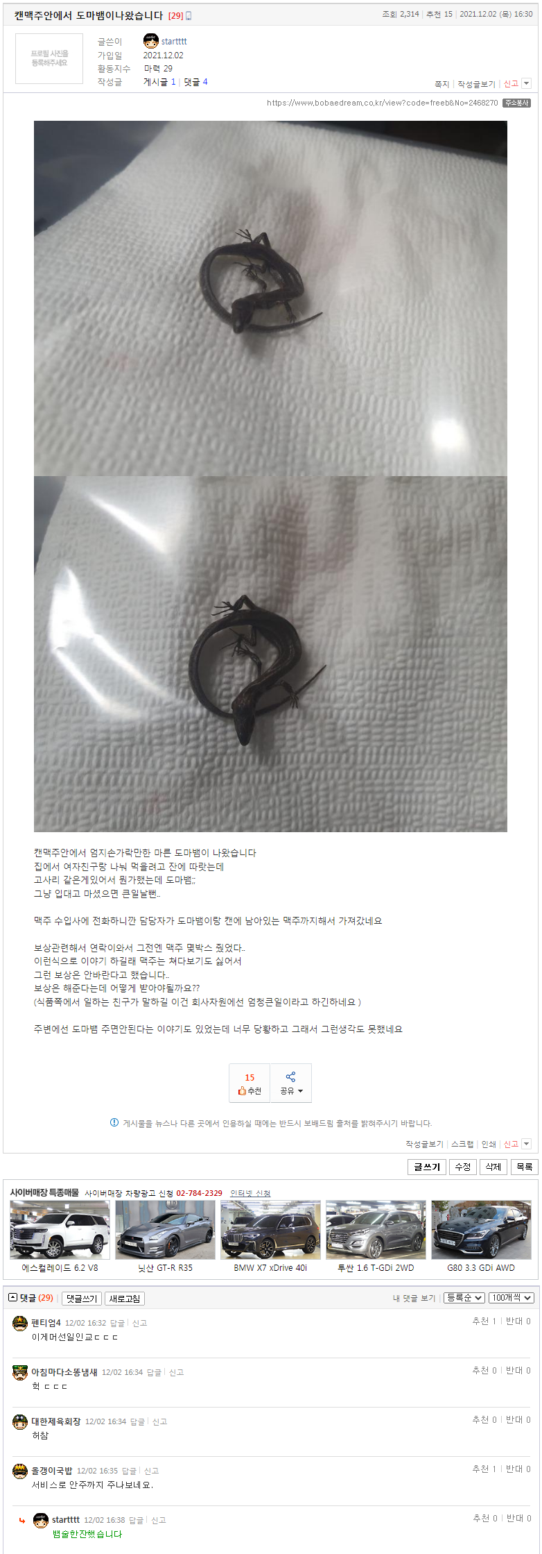 캔맥주 안에서 도마뱀이나왔습니다