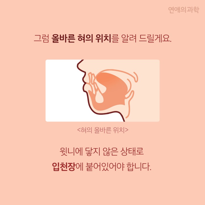 얼굴형이 바뀌는 혀의 위치.jpg