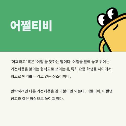 [스압] 2021년 요약