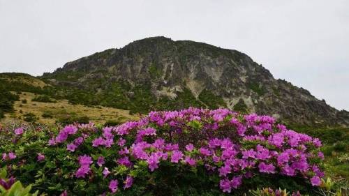 한국인이 좋아하는 산 순위.jpg