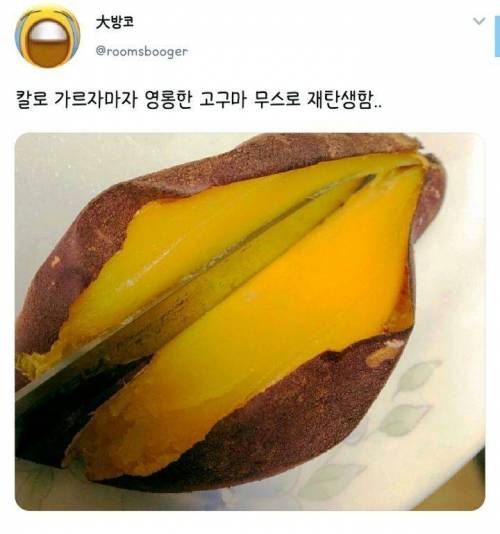 엄마없을때 해야하는 군고구마 황금레시피