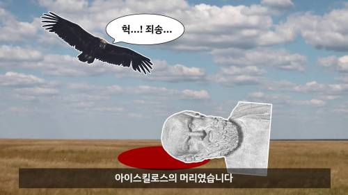 거북이 먹는 방법.jpg