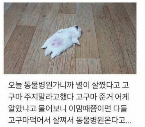 군고구마의 위력.jpg