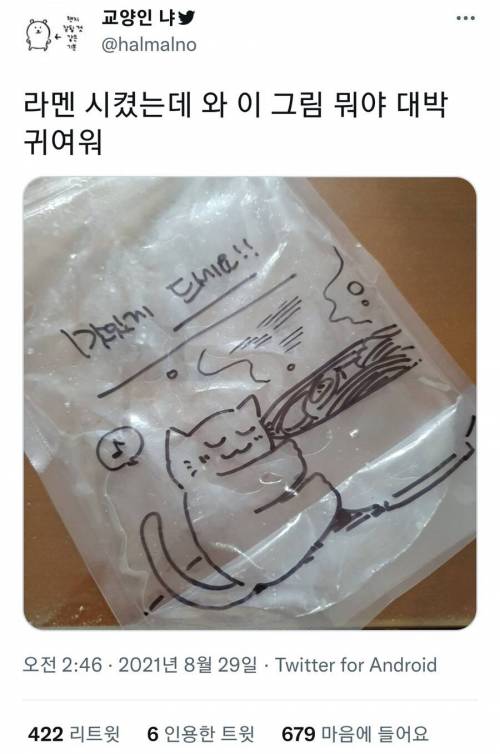 라멘을 시키면 고양이 그림을 주는 가게