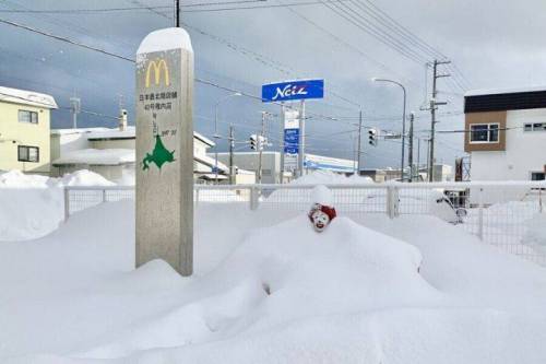 맥도날드 일본 최북단 지점 근황