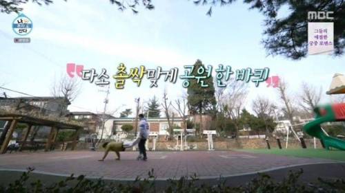 [스압] 이주승의 효도르형 운동법.mp4
