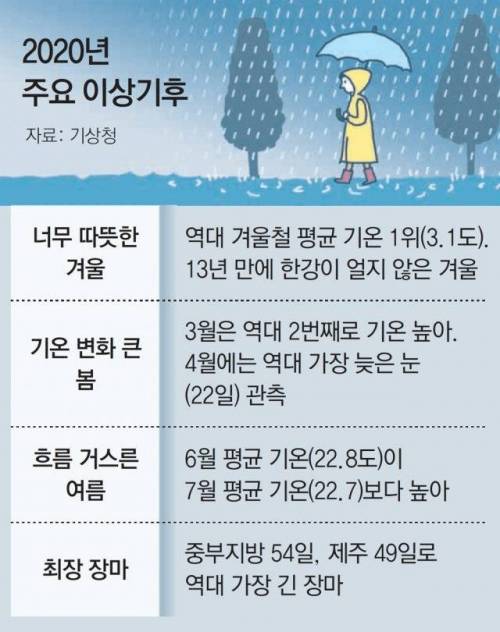 한국의 이상기후 근황...jpg