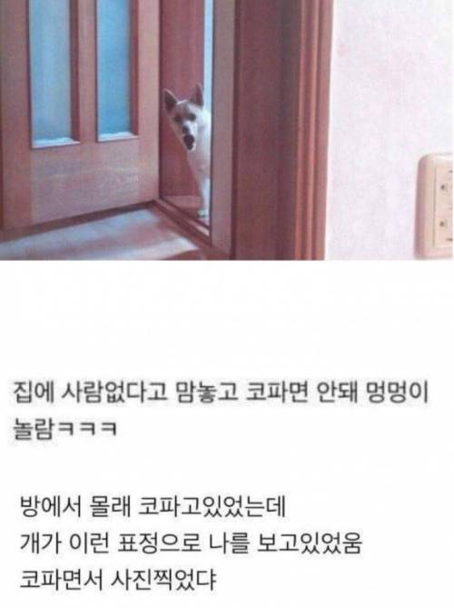 집에서 코 후빌 때 조심해야 하는 이유