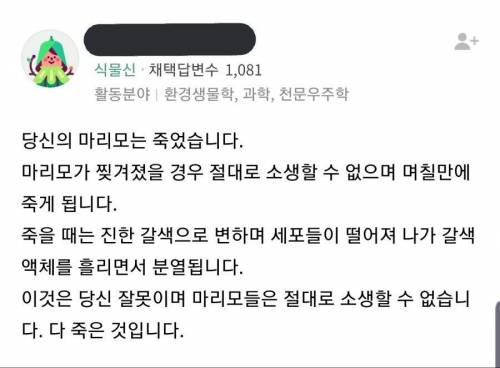 네이버 식물신의 분노.jpg