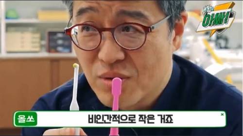 [스압] 치과의사가 말하는 가장 완벽한 칫솔 고르는 법