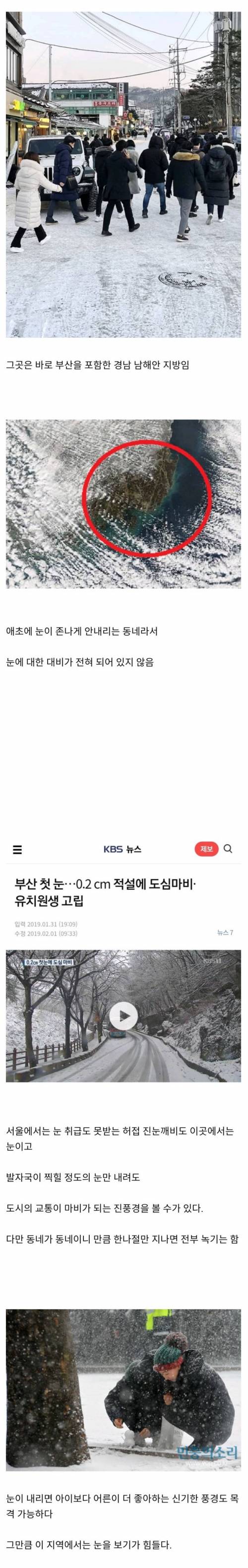 의외로 눈내성 0%인 동네