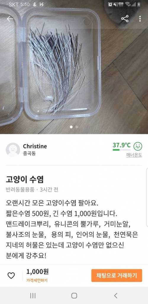 오늘도 평화로운 당근마켓.jpg