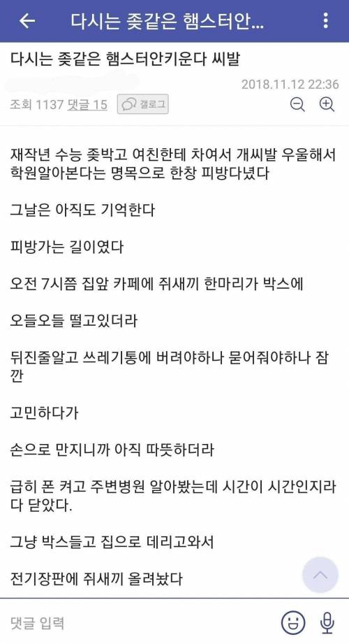 다시는 햄스터 안 키운다