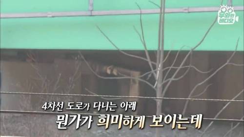 [스압] 법 없이도 살 자연인
