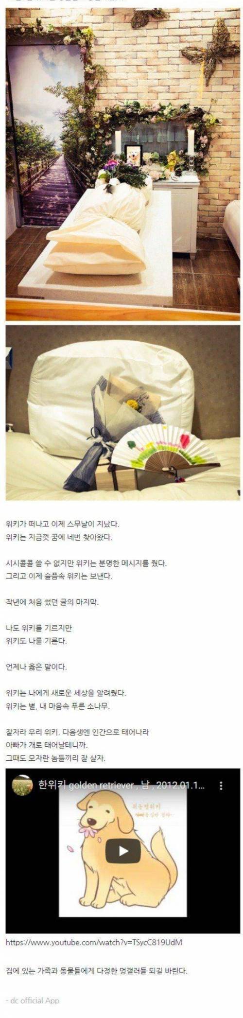 [스압] 반려견과 귀농했던 디씨인