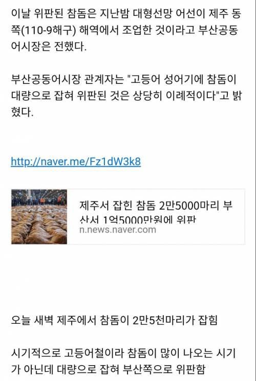 새벽 제주도에 나타난 이례적인 현상