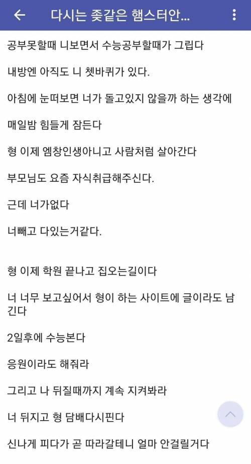 다시는 햄스터 안 키운다