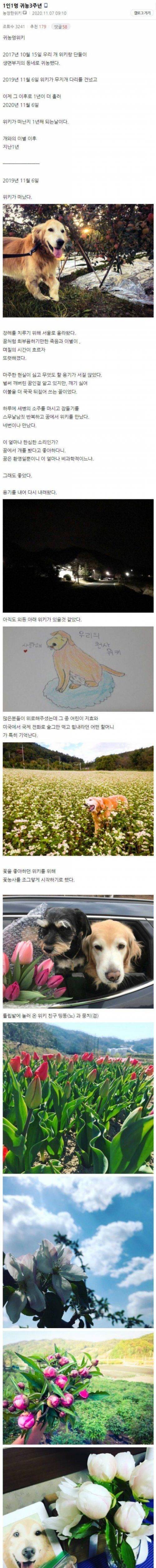 [스압] 반려견과 귀농했던 디씨인