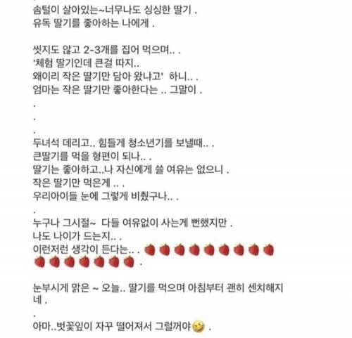 작은 딸기가 맛있는 거라고 생각한 딸.jpg