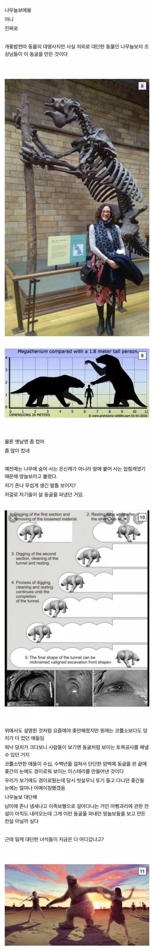 [스압] 냉혹한 초고대 터널의 미스터리