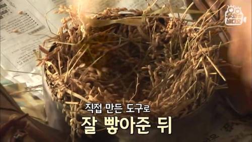 [스압] 법 없이도 살 자연인