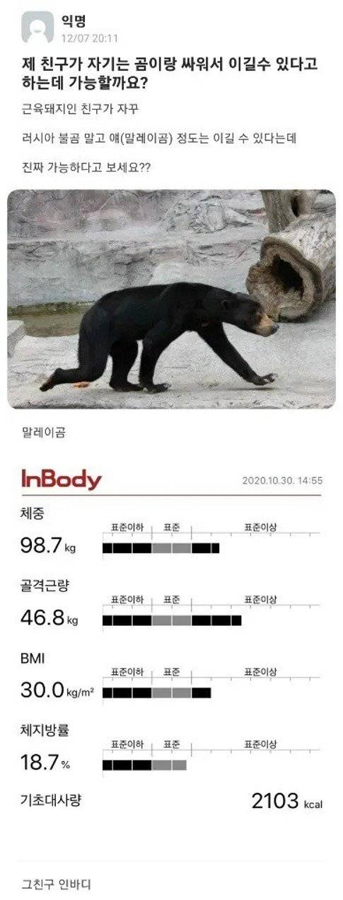 곰이랑 싸워서 이길 수 있다는 대학생