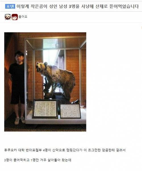 곰이랑 싸워서 이길 수 있다는 대학생