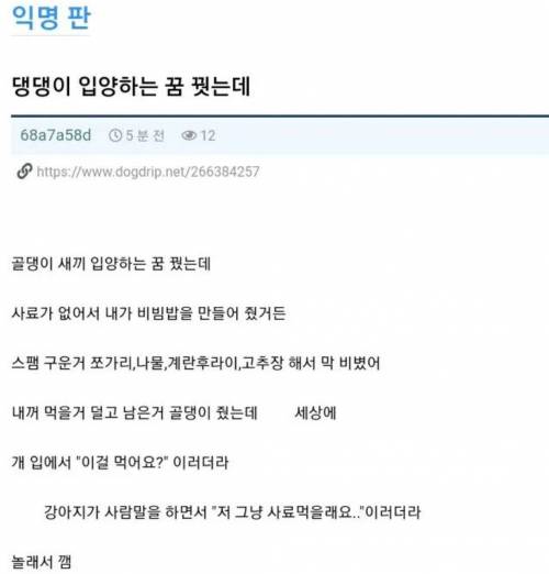 댕댕이 입양하는 꿈 꿨는데