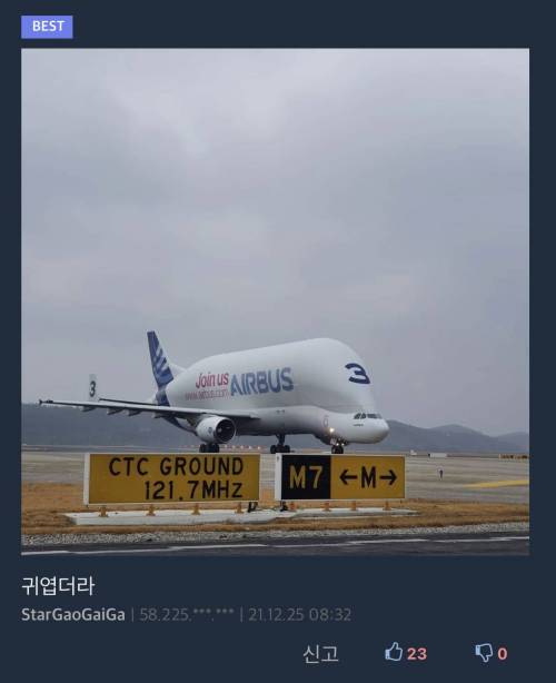 [스압] 난리난 일본 고베공항 근황.jpg