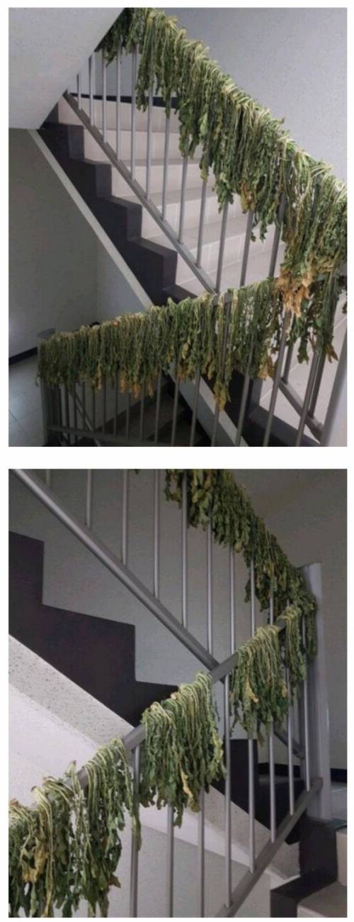 어느 아파트 계단 상황