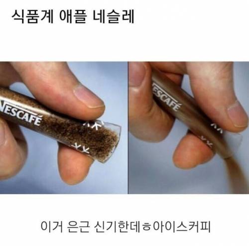 인스턴트 커피계의 애플