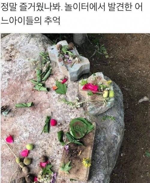 유치원 초딩 저학년 국룰.jpg