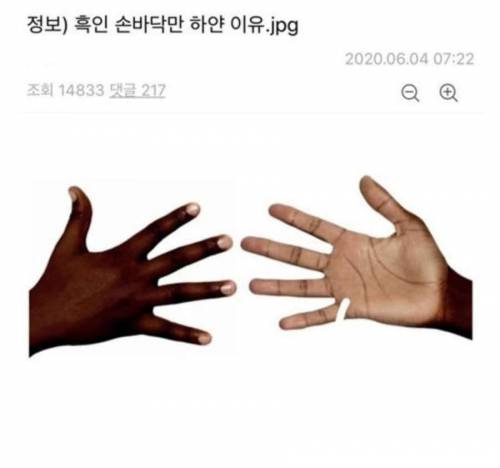 흑인들이 손바닥만 하얀 이유.jpg