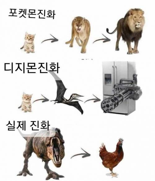 포켓몬 디지몬 진화 차이.jpg