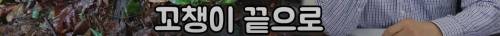 [스압] 별로 위험하지 않은 생태연구학자의 삶.jpg