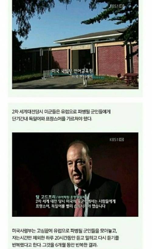 6개월만에 외국어 마스터하는 꿀팁.jpg