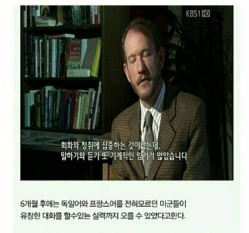 6개월만에 외국어 마스터하는 꿀팁.jpg