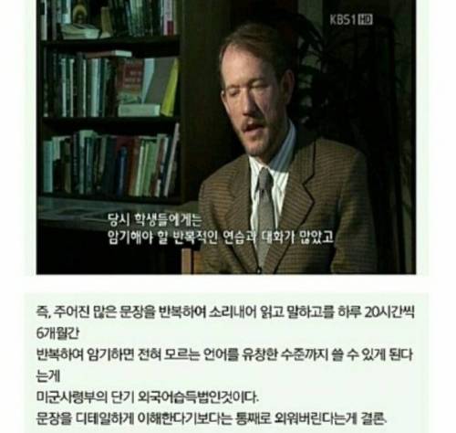 6개월만에 외국어 마스터하는 꿀팁.jpg