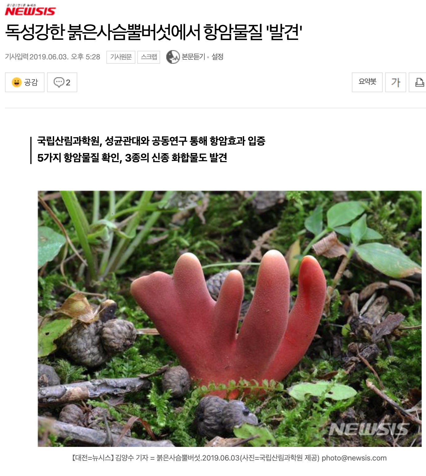 [스압] 항암물질 버섯 먹은 썰