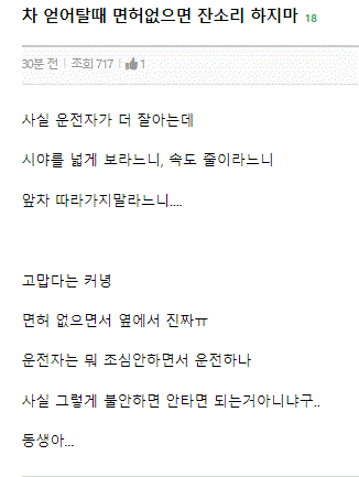 차 얻어탈때 면허없으면 잔소리 하지마