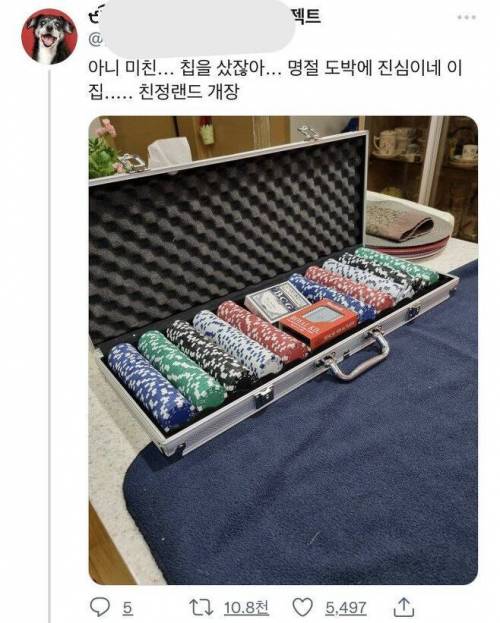 명절 도박에 진심인 친척.jpg