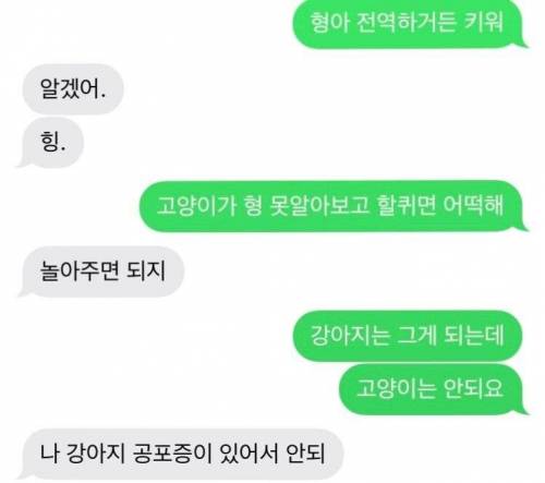 10살짜리 늦둥이 동생과의 메세지